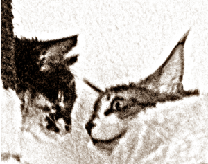 Bearbeitet Mia & Zoé 21.png