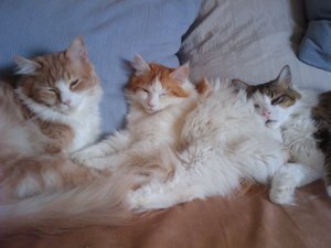 2011-07-17 16.37.08.jpg