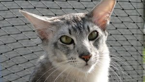 auch der schönste.jpg