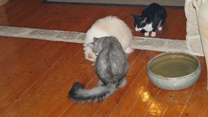 was hast du da....jpg