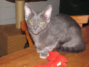 2011-08-22 17-36-21.JPG