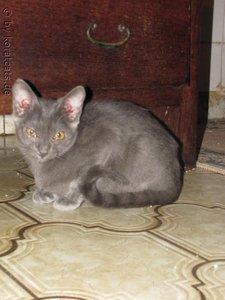 2011-08-22 17-37-13.JPG