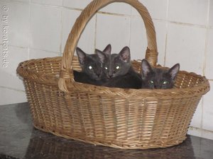 2011-08-22 18-22-44.JPG