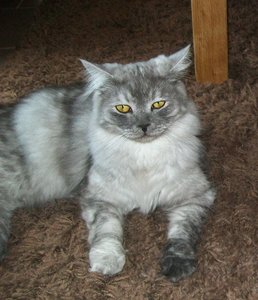 Zottel und Maxl 014.JPG