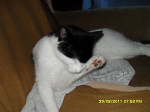 Mütze 013 [800x600].jpg