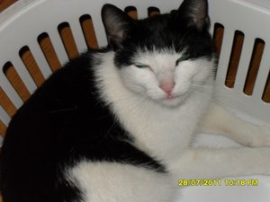 Mütze 004 [800x600].jpg