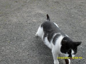 Dies und das 008 [800x600].jpg