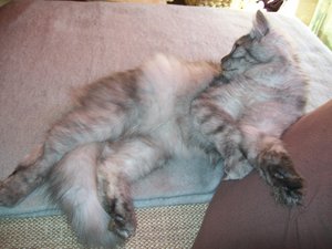 Chico 07.03.2011 066.jpg