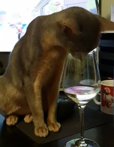 20190120_233728.jpg 20190120_233728.jpg