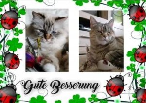 IMG_20200507_102814.jpg IMG_20200507_102814.jpg