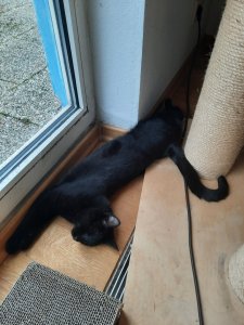 20210205_134446 (1).jpg