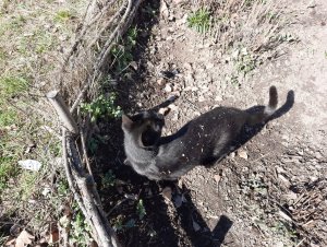 20210228_130335 (1).jpg