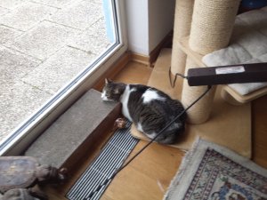 20210116_090639 (1).jpg