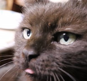 mrrmarble02.jpg mrrmarble02.jpg