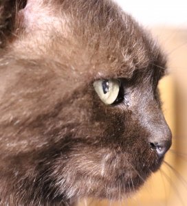 mrrmarble03.jpg mrrmarble03.jpg