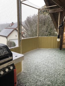 0193F5B6-5086-45E5-9425-AC912593AF83.jpeg 0193F5B6-5086-45E5-9425-AC912593AF83.jpeg