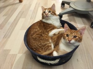 IMG_9150.jpg IMG_9150.jpg