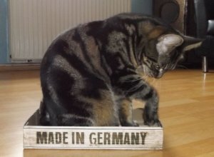 Coco, Made in....jpg