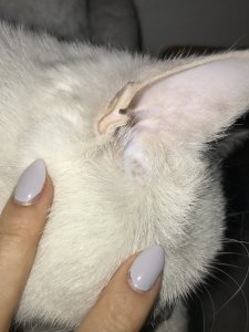 843C8B73-FB5C-4720-AE96-A7B1895ACDBA.jpeg 843C8B73-FB5C-4720-AE96-A7B1895ACDBA.jpeg