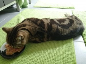 IMG_20210511_171215.jpg IMG_20210511_171215.jpg