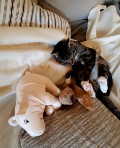 20210513_141734.jpg 20210513_141734.jpg