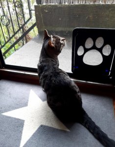 20210518_144751.jpg 20210518_144751.jpg