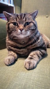 IMG-20210521-WA0015 1.jpeg