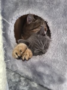 20210509_120559.jpg 20210509_120559.jpg