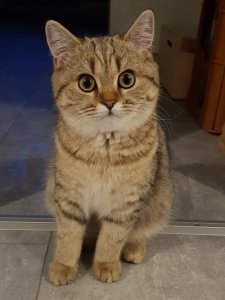 20210531_094854.jpg 20210531_094854.jpg