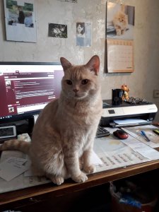 20190406_154539 (1).jpg