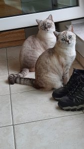 WhatsApp Image 2021-06-08 at 12.08.23.jpeg