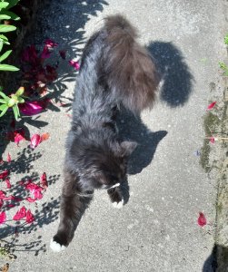 2018-11-05_WA0015 (54).jpg