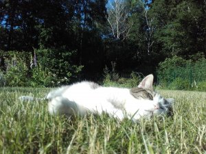 20210615_182530.jpg 20210615_182530.jpg