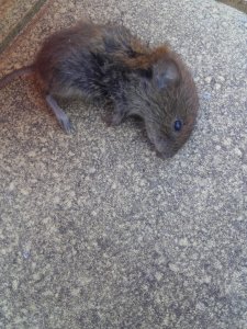 20210616_144639.jpg 20210616_144639.jpg