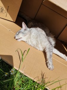 20210528_150918.jpg 20210528_150918.jpg