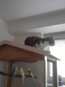 P070614_15.24.jpg P070614_15.24.jpg