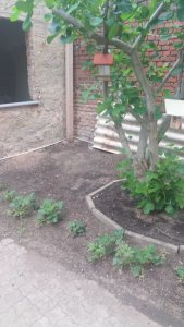 EFD704E0-A8D2-4010-A226-0A8146E7431E.jpeg EFD704E0-A8D2-4010-A226-0A8146E7431E.jpeg