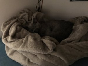 D49F7213-AC5A-4A1E-8980-9DB91E525572.jpeg D49F7213-AC5A-4A1E-8980-9DB91E525572.jpeg