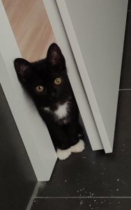 WhatsApp Image 2021-07-31 at 07.14.46.jpeg