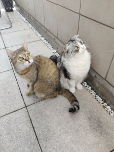 IMG_20210513_172347.jpg IMG_20210513_172347.jpg