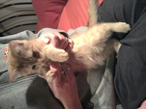 2011-08-31 23.27.52.jpg