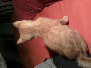 2011-08-31 23.29.19.jpg