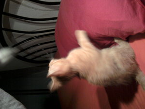 2011-08-31 23.29.23.jpg