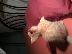 2011-08-31 23.29.29.jpg