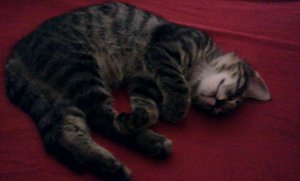 2011-08-30 01.44.32.jpg