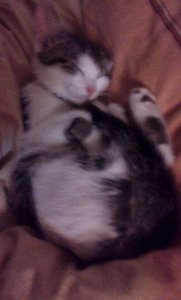 2011-08-30 03.25.27.jpg