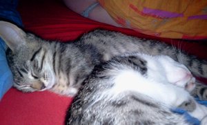 2011-08-31 03.09.14.jpg