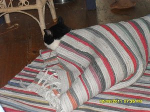 Mütze 001 [800x600].jpg