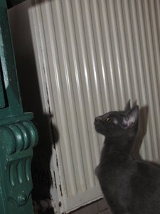 2011-09-07 14-28-52.JPG