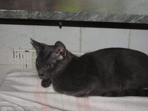 2011-09-07 15-21-37.JPG